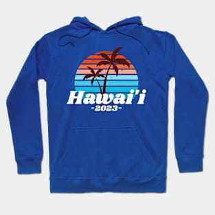 Hawai'i 2023 Hoodie